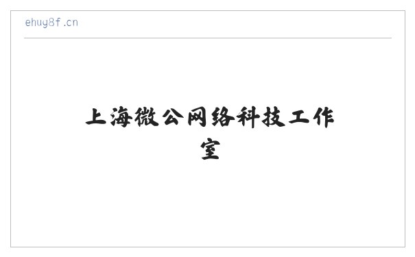 上海微公网络科技工作室 缩略图